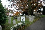 2007 11 24 rye 009